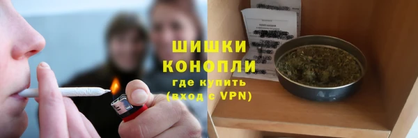гашик Арсеньев
