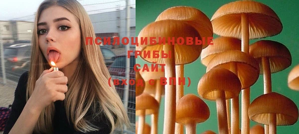 гашик Арсеньев