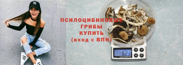 гашик Арсеньев